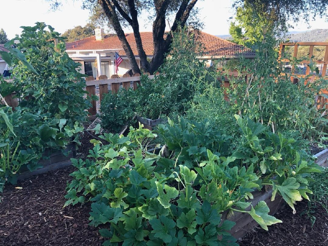 4770 Pedro Hill Road Pilot Hill, CA 95664 - Photo 85 of 89