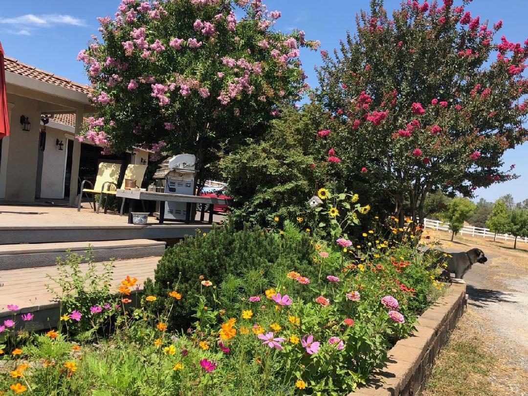 4770 Pedro Hill Road Pilot Hill, CA 95664 - Photo 86 of 89