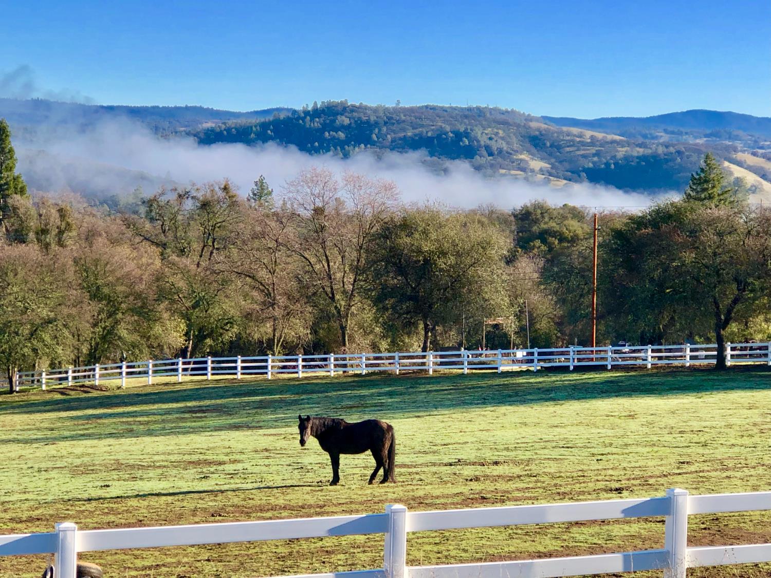 4770 Pedro Hill Road Pilot Hill, CA 95664 - Photo 89 of 89