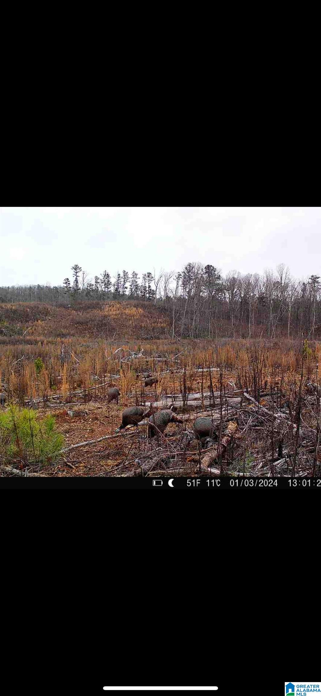 1 Grissom Ferry Road, Unit 145 Vincent, AL 35178 - Photo 3 of 6 Gallery Image 3