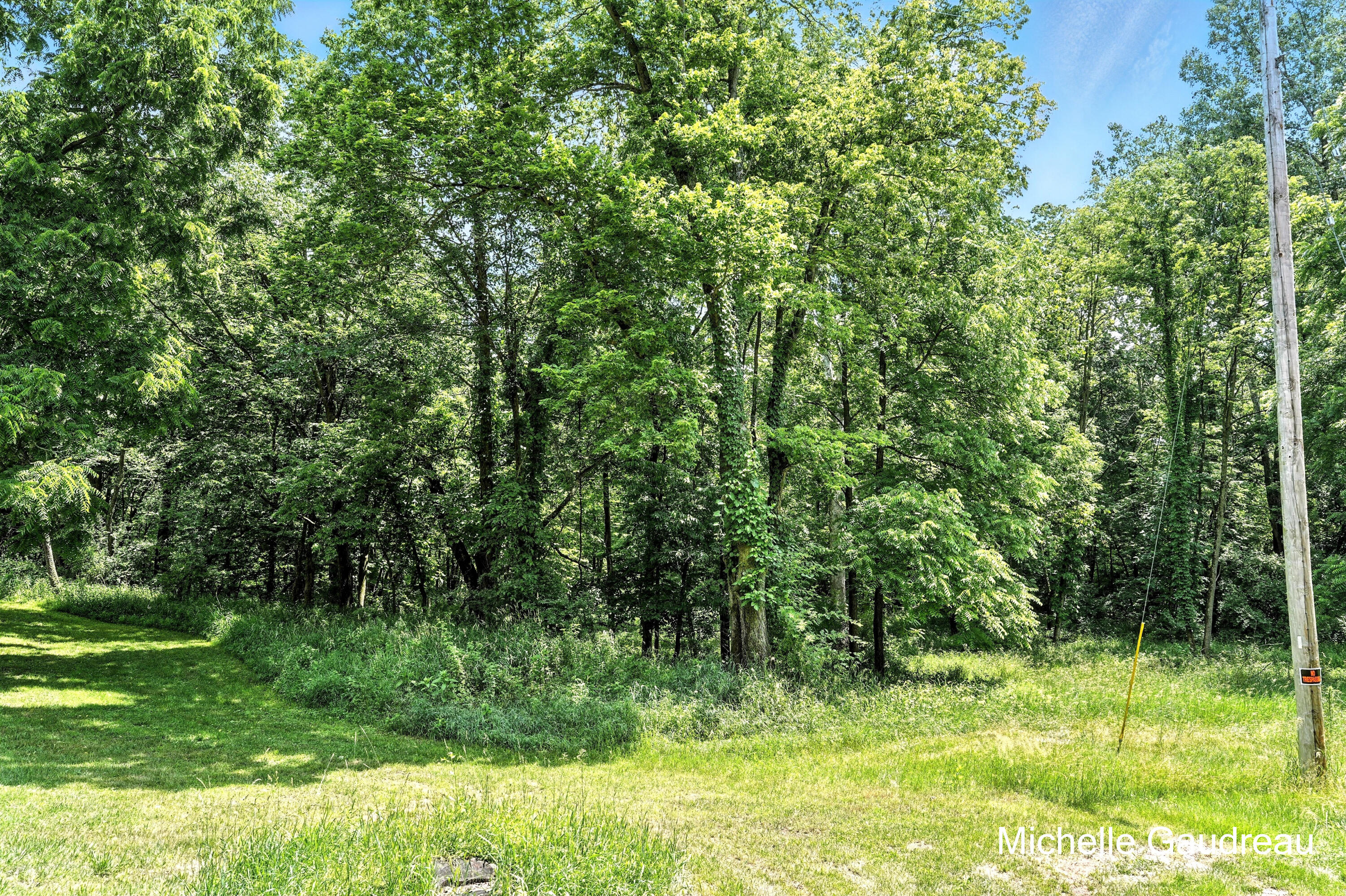 Parcel B West Irving Road Middleville, MI 49333 - Photo 3 of 12 Photo_003