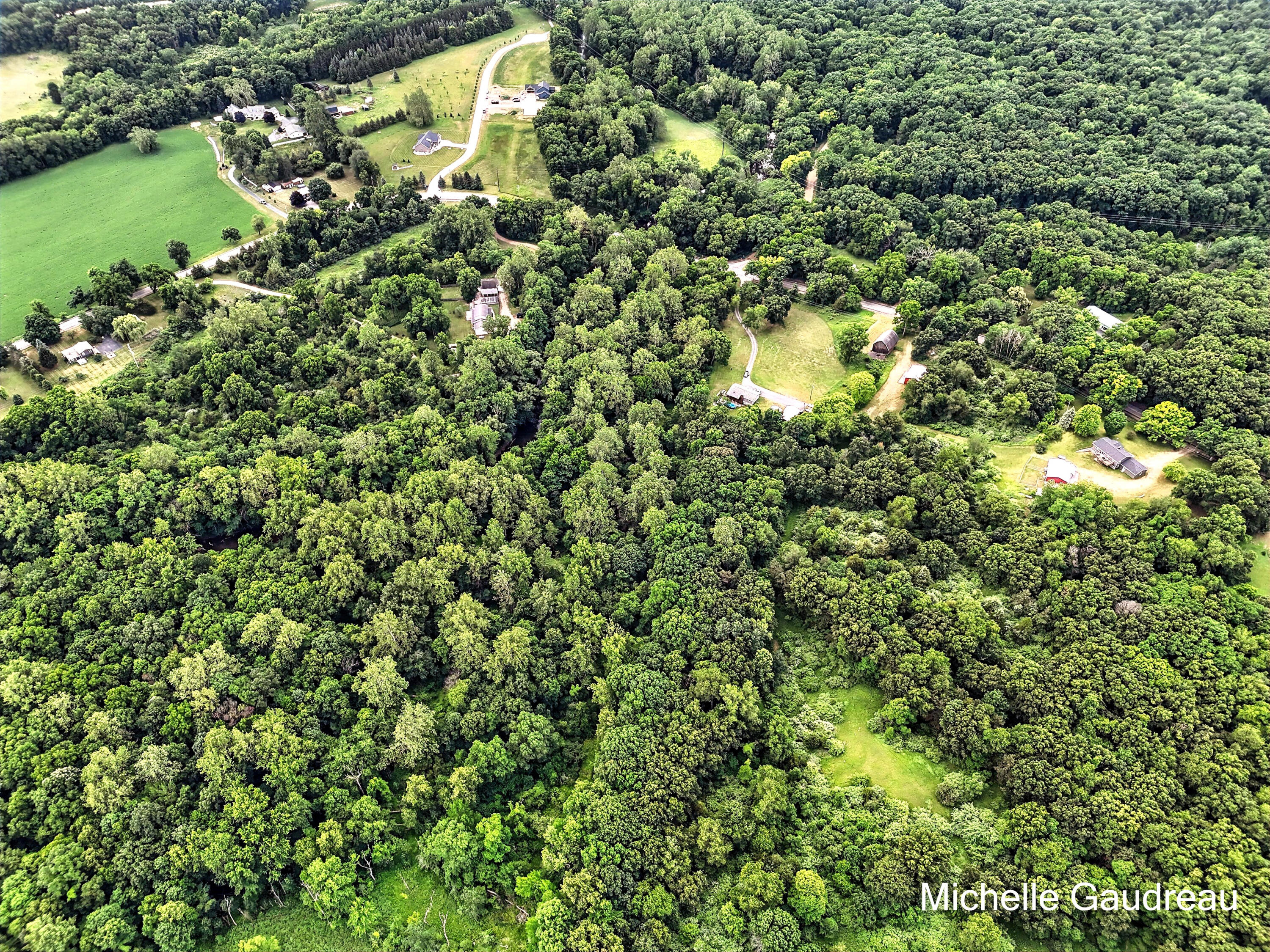 Parcel B West Irving Road Middleville, MI 49333 - Photo 7 of 12 Photo_009