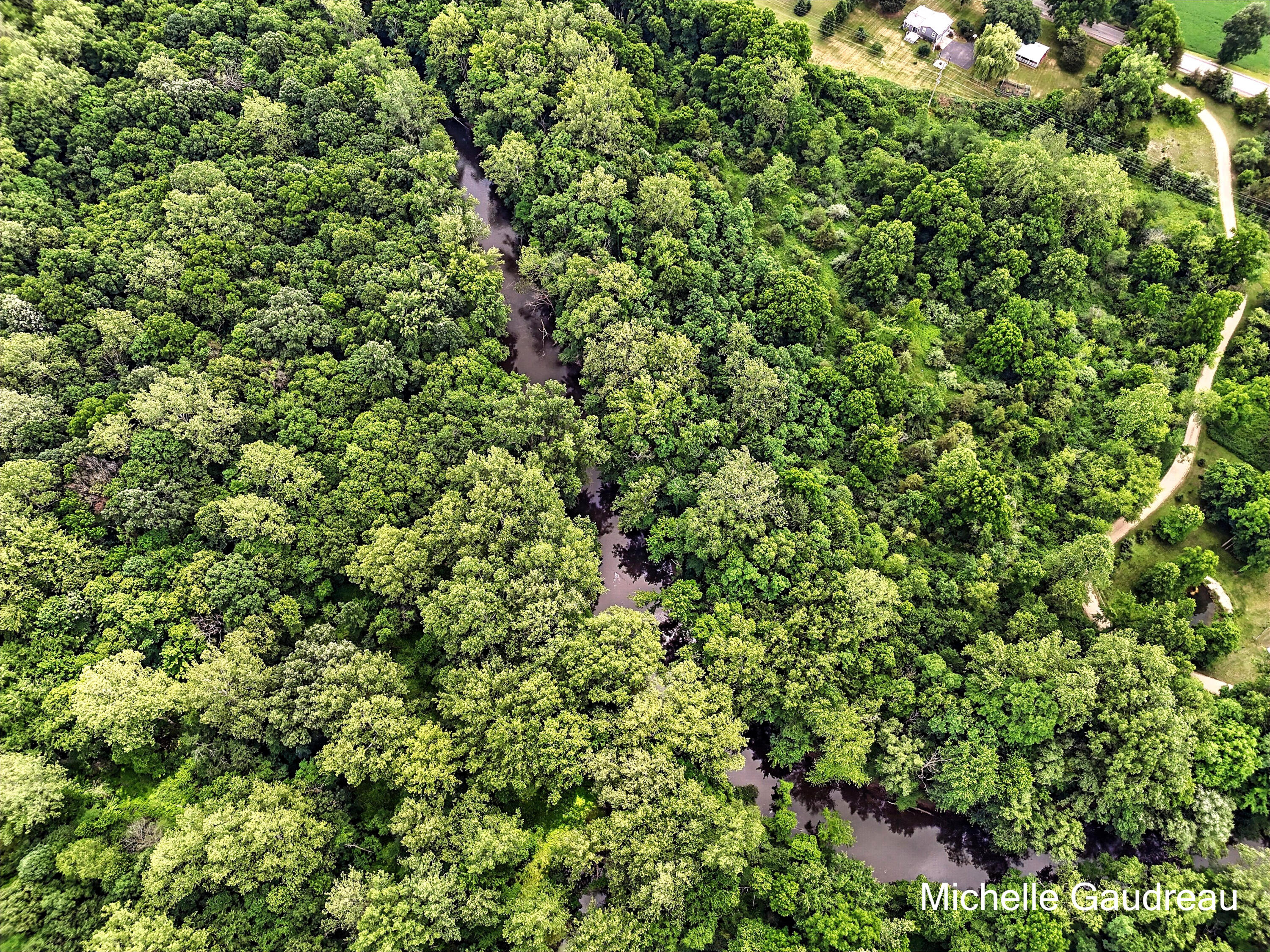 Parcel B West Irving Road Middleville, MI 49333 - Photo 8 of 12 Photo_010