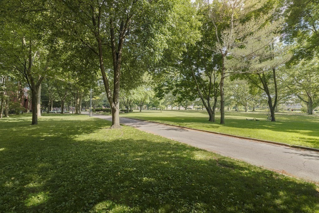 975 Memorial Drive, Unit 906 Cambridge, MA 02138 - Photo 31 of 37