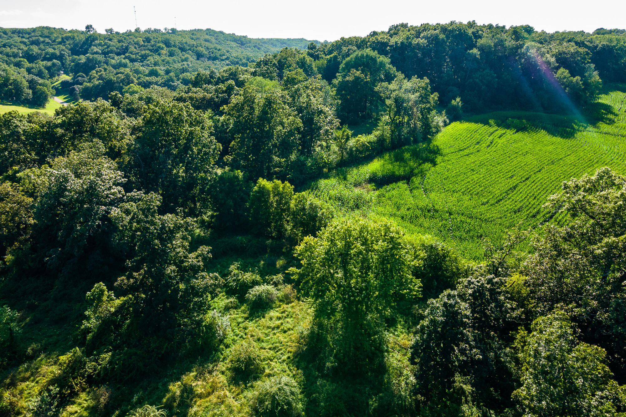 5292 Stenner Hill Road Marion, WI 53805 - Photo 16 of 69 Grant-County-WI-155-Acres-Land-For-Sale-