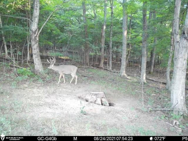 0 Bucklick Road Jackson, OH 45640 - Photo 33 of 50 Gallery Image 33