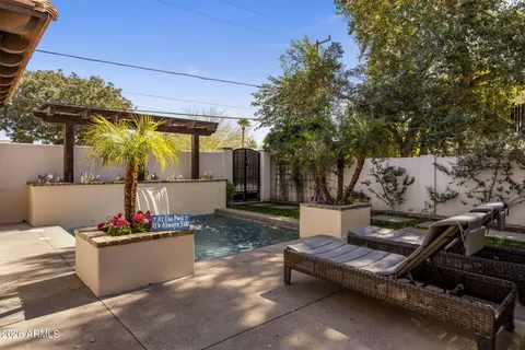 a bench is sitting in the middle of a backyard