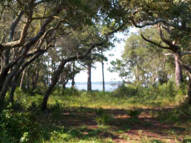 39 Mashes Sands Road Ochlockonee Bay, FL 32346 - Photo 5 of 5 Gallery Image 5