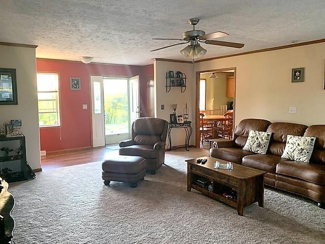 2220 Scott Run Road Warren, PA 16365 - Photo 11 of 25 Gallery Image 11