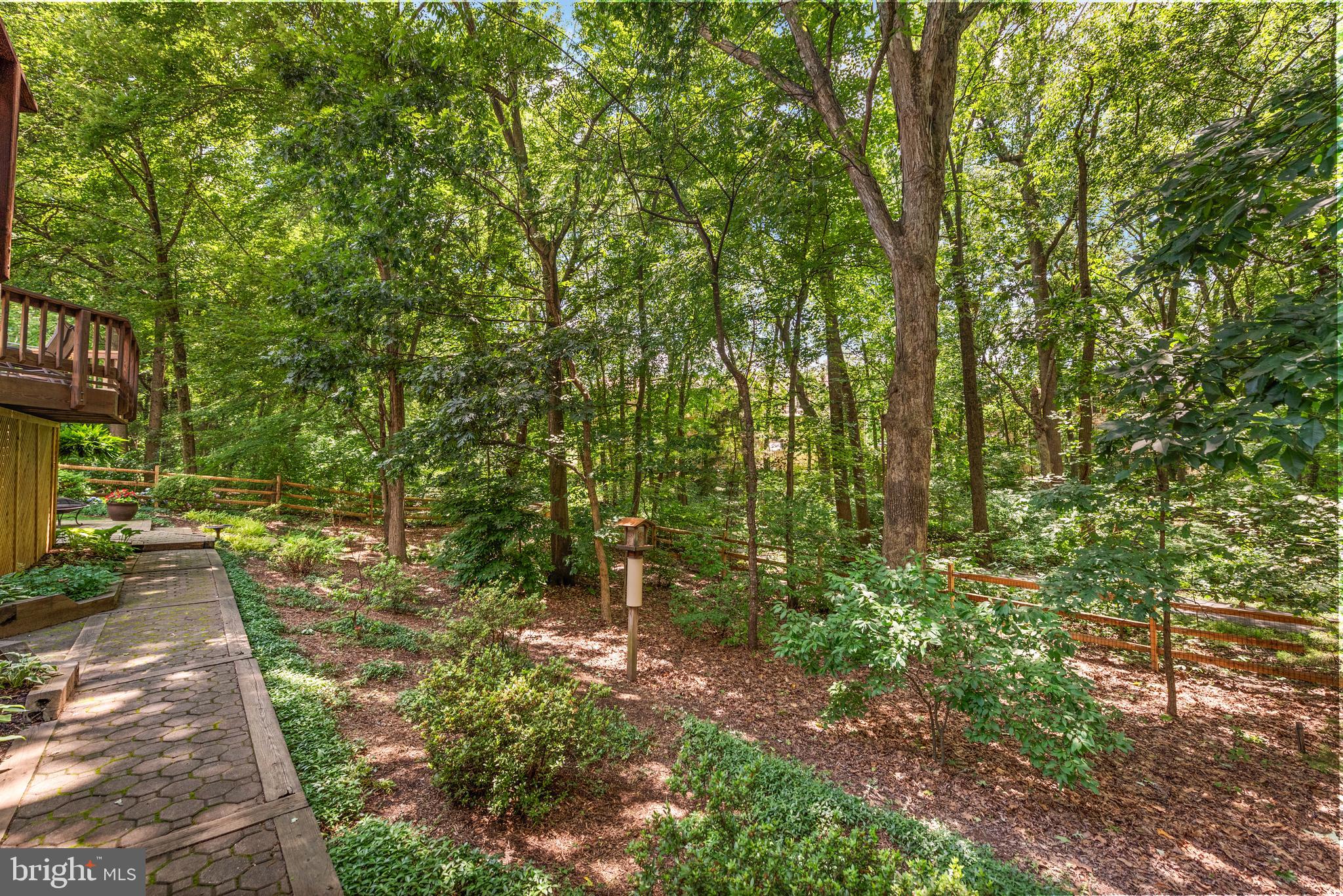 11909 Winstead Lane Reston, VA 20194 - Photo 49 of 60 Backs to trees
