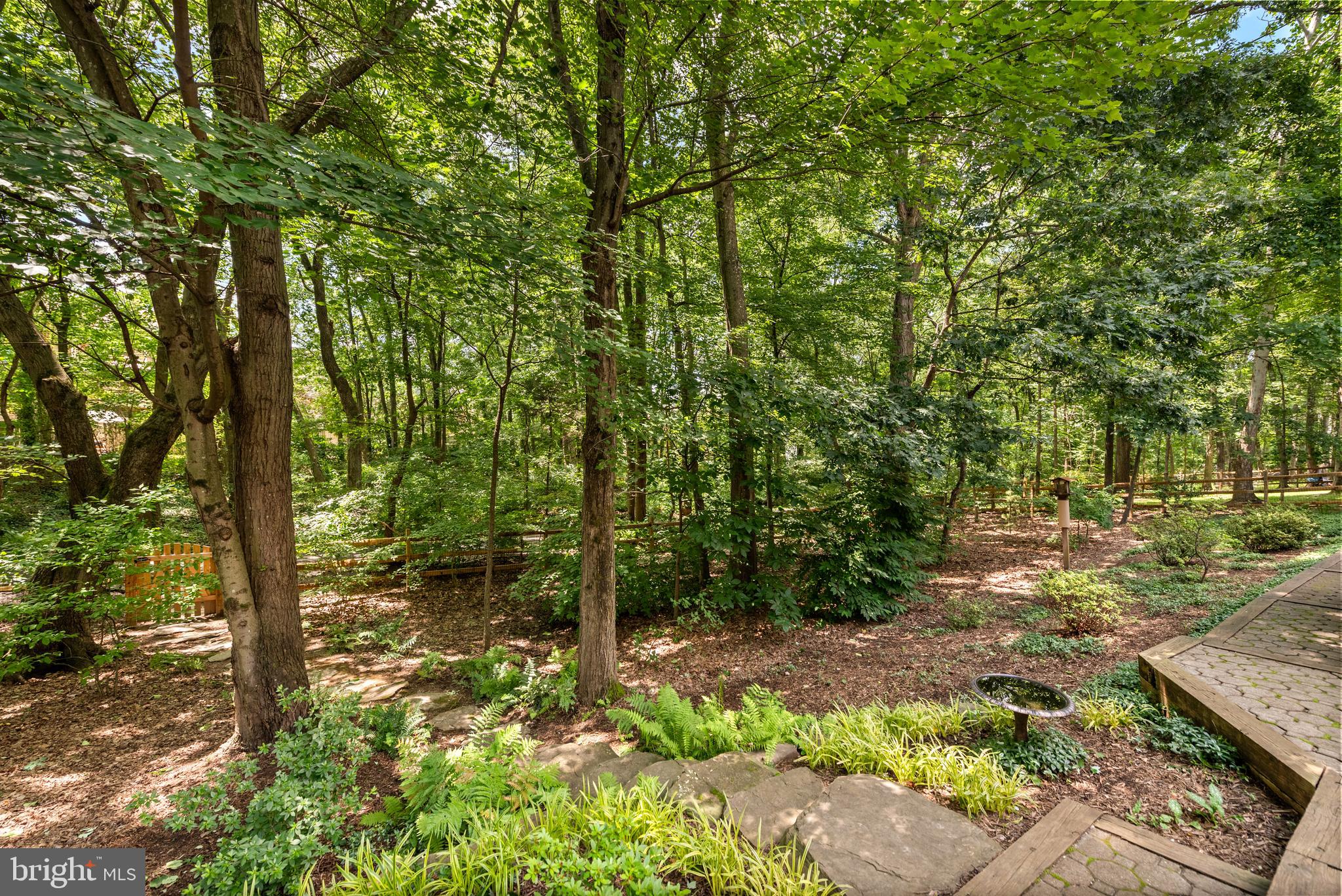 11909 Winstead Lane Reston, VA 20194 - Photo 52 of 60 Treed setting