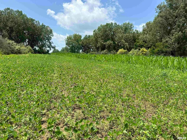 $1,657,575 | 0 Old Weaver Road, Canton, IL 61520