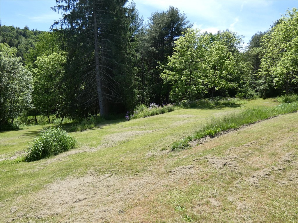 97 West Chenango Road Castle Creek, NY 13744 - Photo 28 of 33 Gallery Image 28