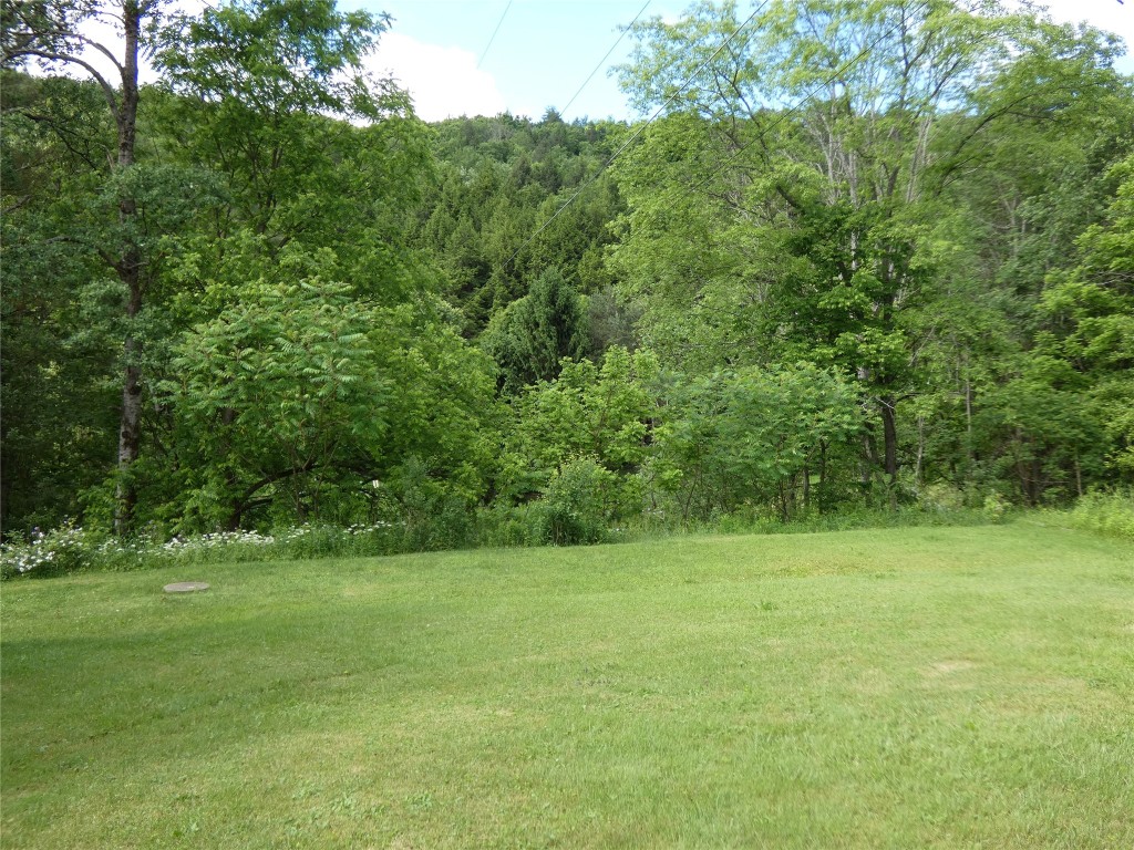 97 West Chenango Road Castle Creek, NY 13744 - Photo 31 of 33 Gallery Image 31