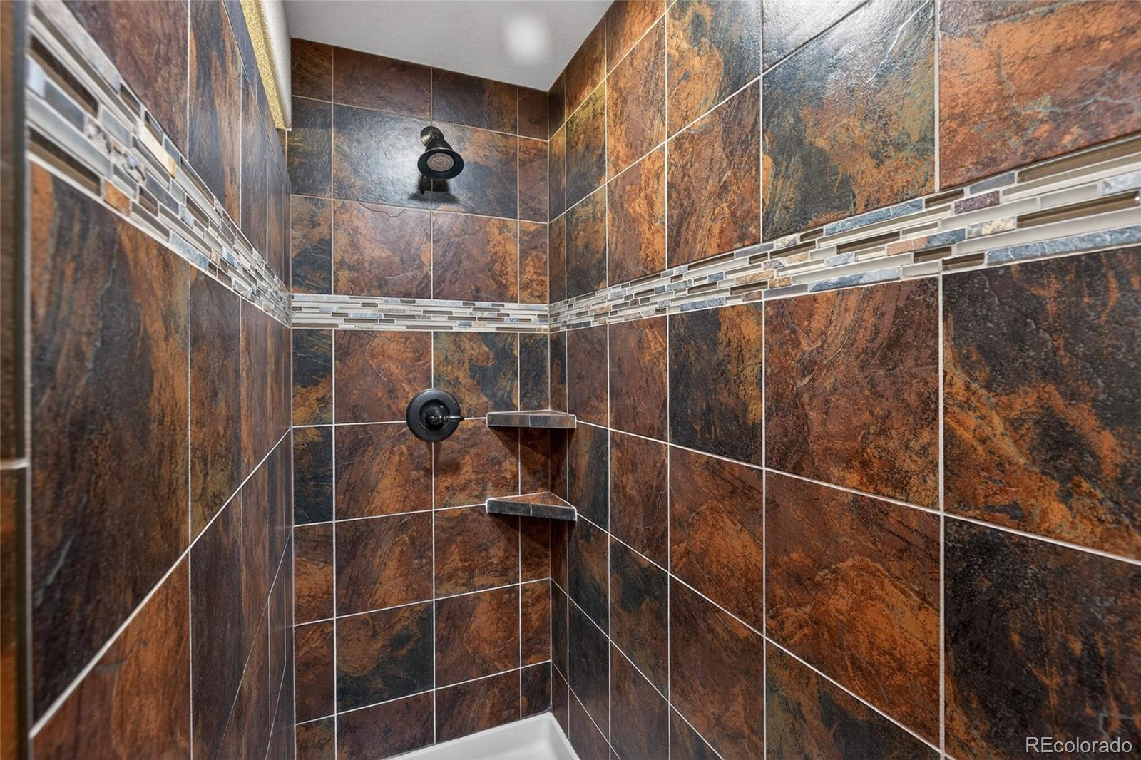 747 West Sparrow Hawk Drive Highlands Ranch, CO 80129 - Photo 39 of 50 a close view of shower
