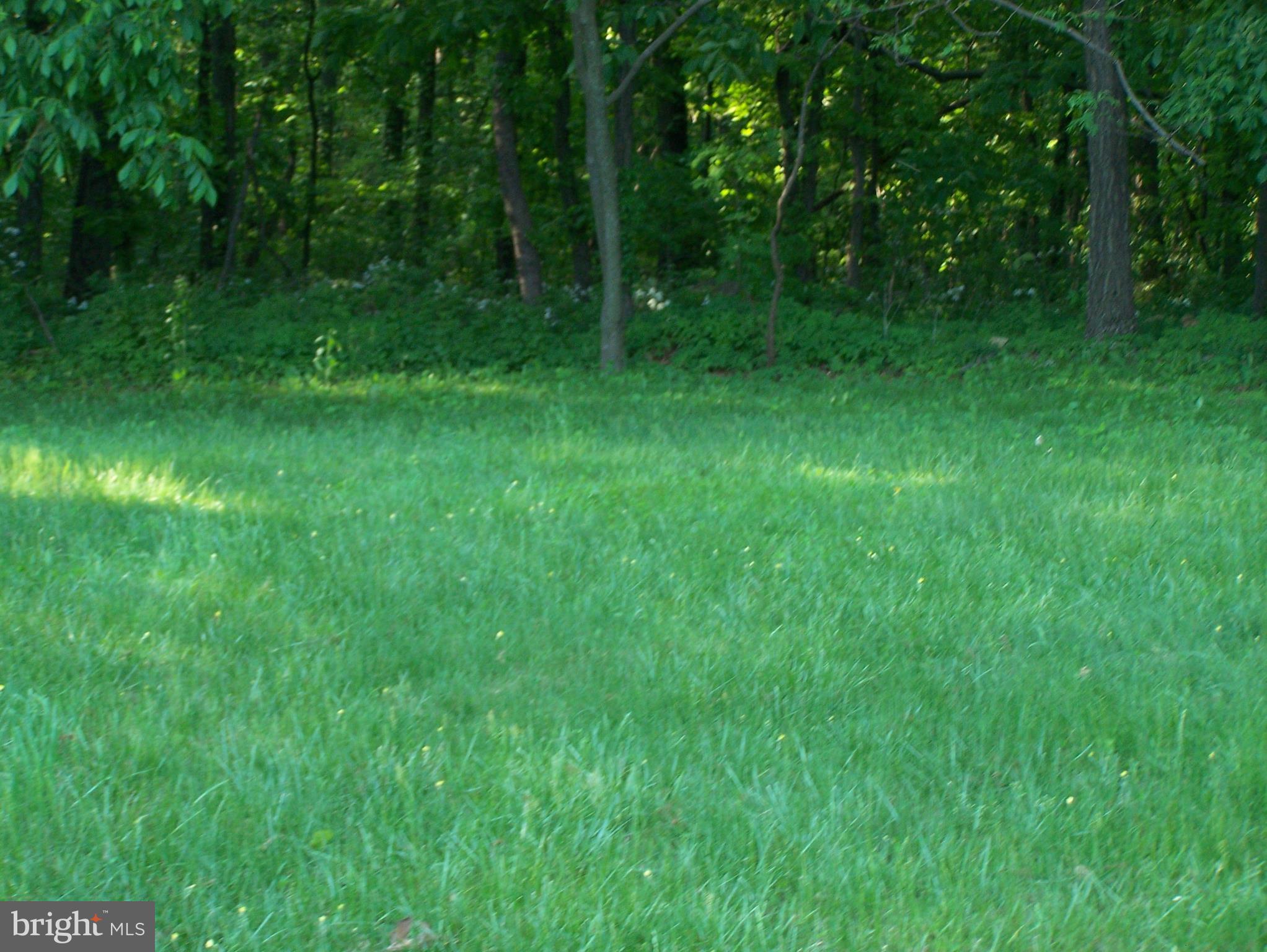 2030 East Deep Run Road Manchester, MD 21102 - Photo 4 of 25 View of back yard