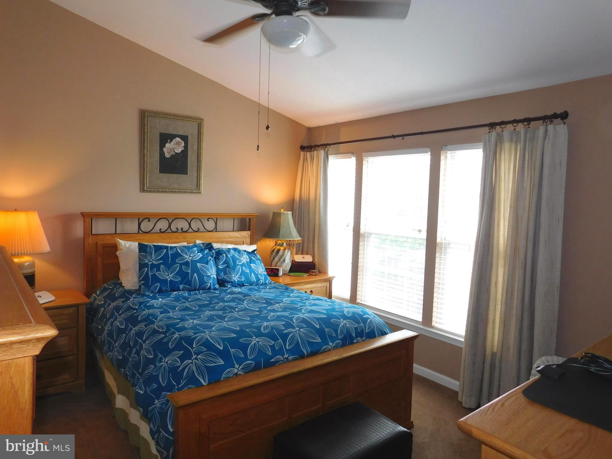 13 Sun Haven Place Riverside, NJ 08075 - Photo 22 of 31 Main bedroom with vaulted ceiling and fan