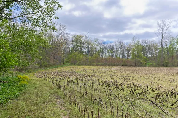 $349,000 | 0 White Street, Cassopolis, MI 49031