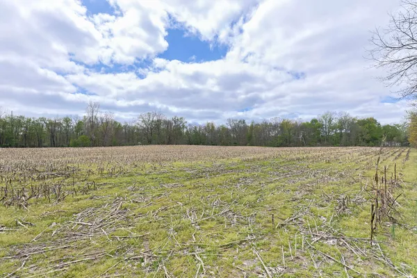 $349,000 | 0 White Street, Cassopolis, MI 49031