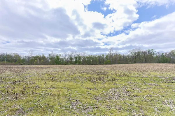 $349,000 | 0 White Street, Cassopolis, MI 49031