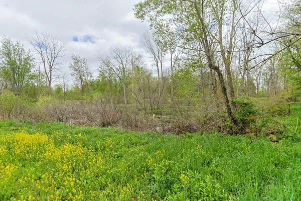 $349,000 | 0 White Street, Cassopolis, MI 49031