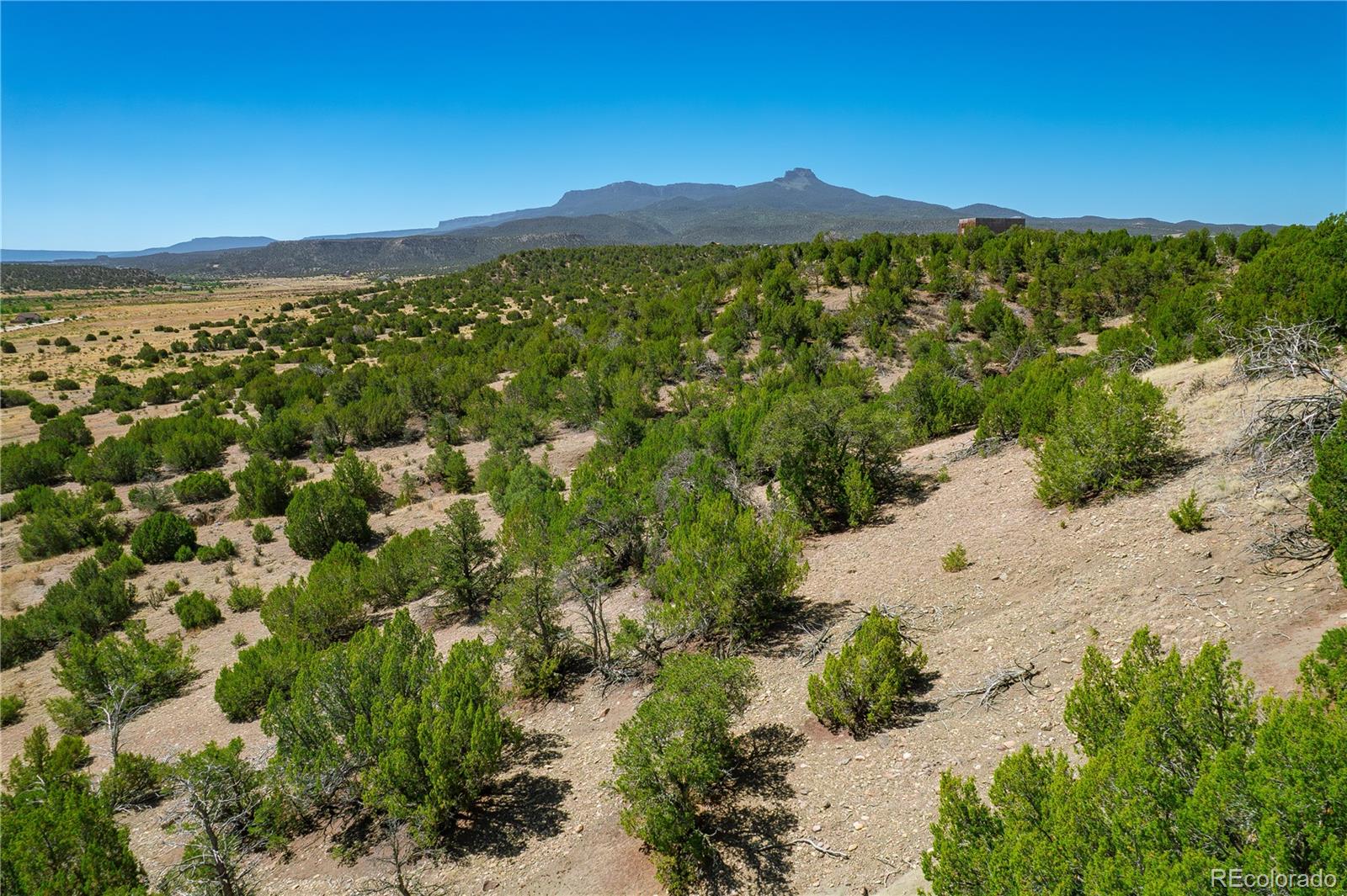 37300 Kunzite Road Trinidad, CO 81082 - Photo 8 of 35