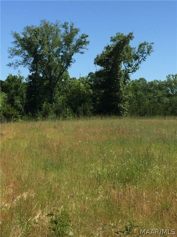 O O Naftel Road Ramer, AL 36069 - Photo 18 of 25 Gallery Image 18
