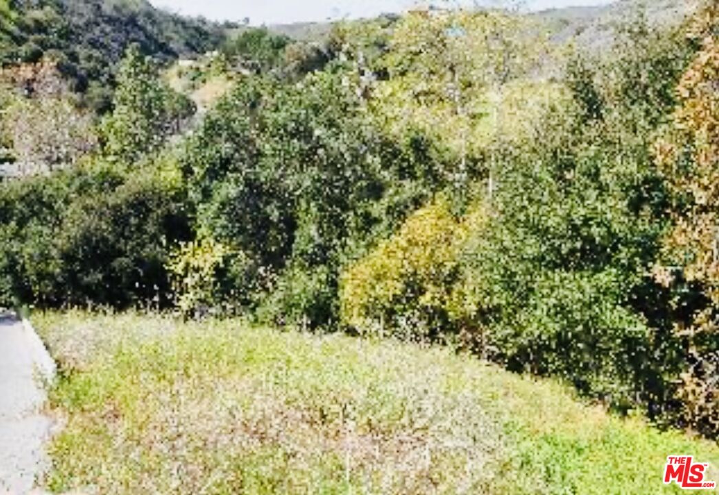 5812 Ramirez Canyon Road Malibu, CA 90265 - Photo 6 of 9 a view of a yard with large trees