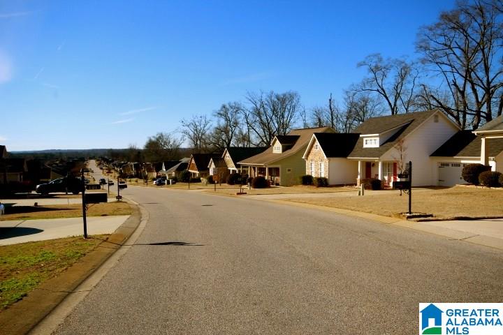 179 Moss Stone Lane Calera, AL 35040 - Photo 23 of 23