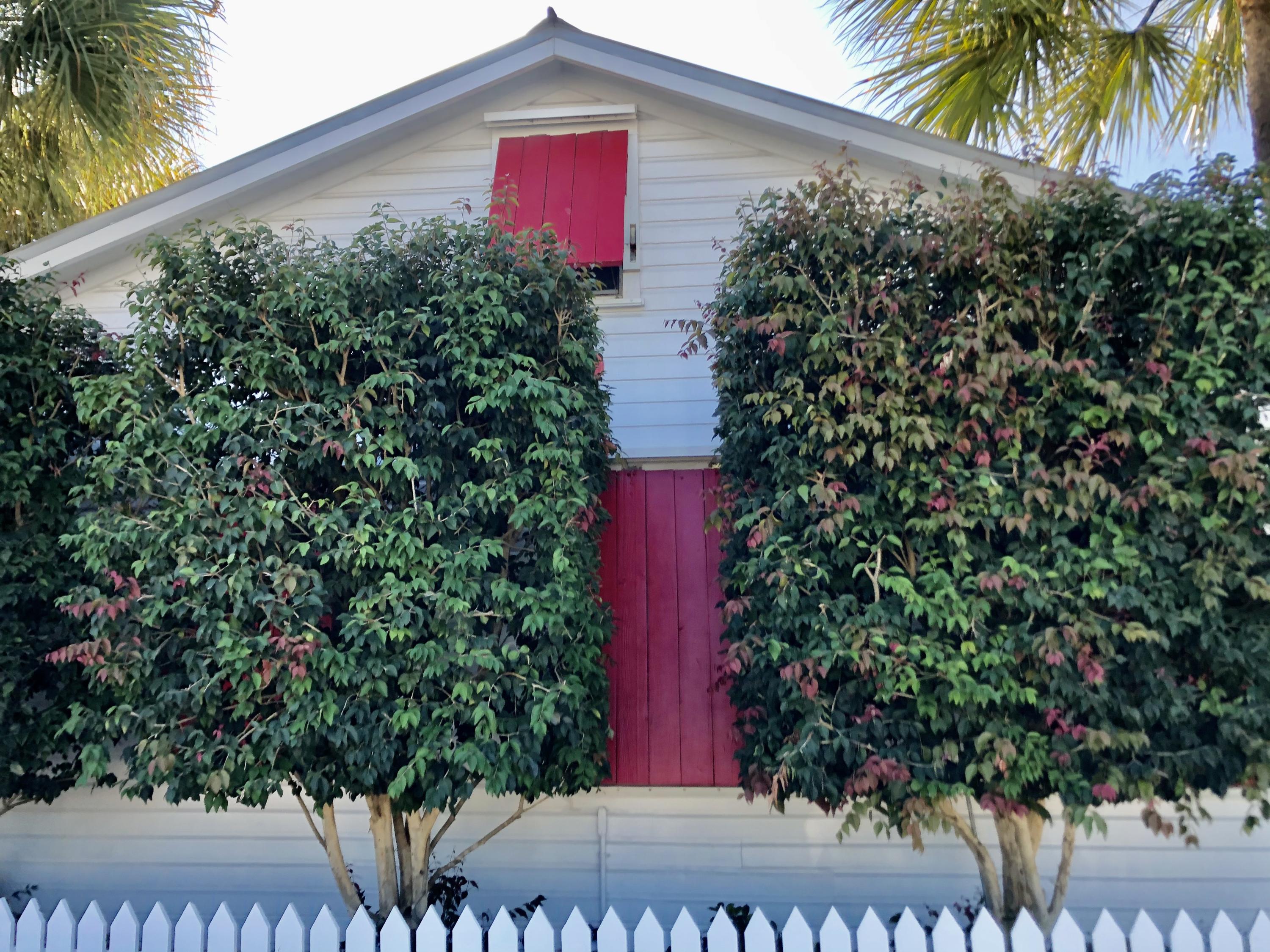1118 Pearl Street Key West, FL 33040 - Photo 1 of 7 a view of a yard with potted plants
