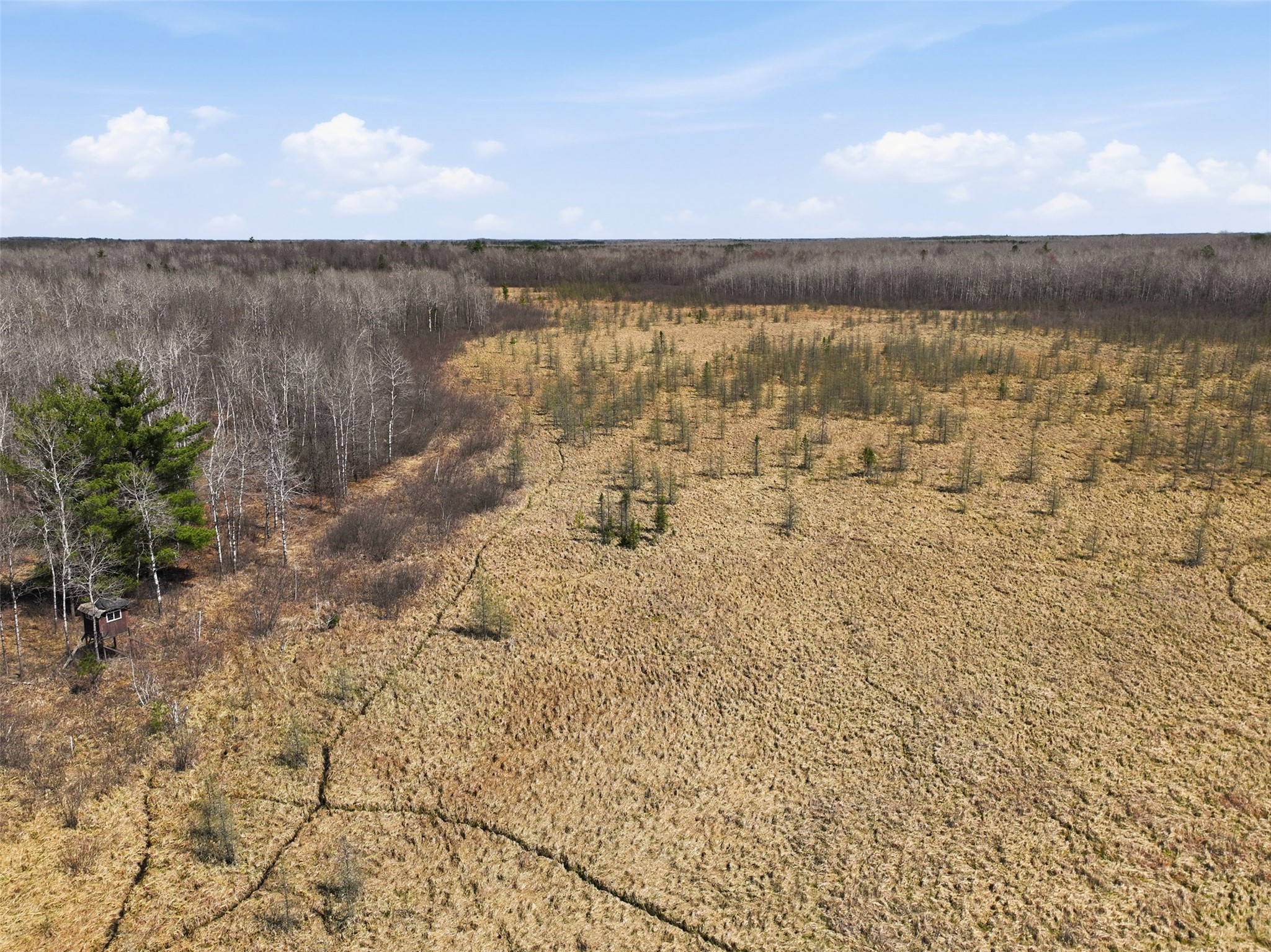 N4280 County Road East Bruce, WI 54819 - Photo 22 of 49