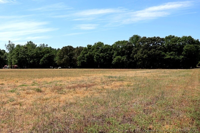Tbd North Duffie Road Red Springs, NC 28377 - Photo 19 of 24