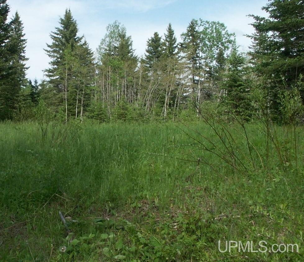 Tbd River Country Road Iron River, MI 49935 - Photo 9 of 10