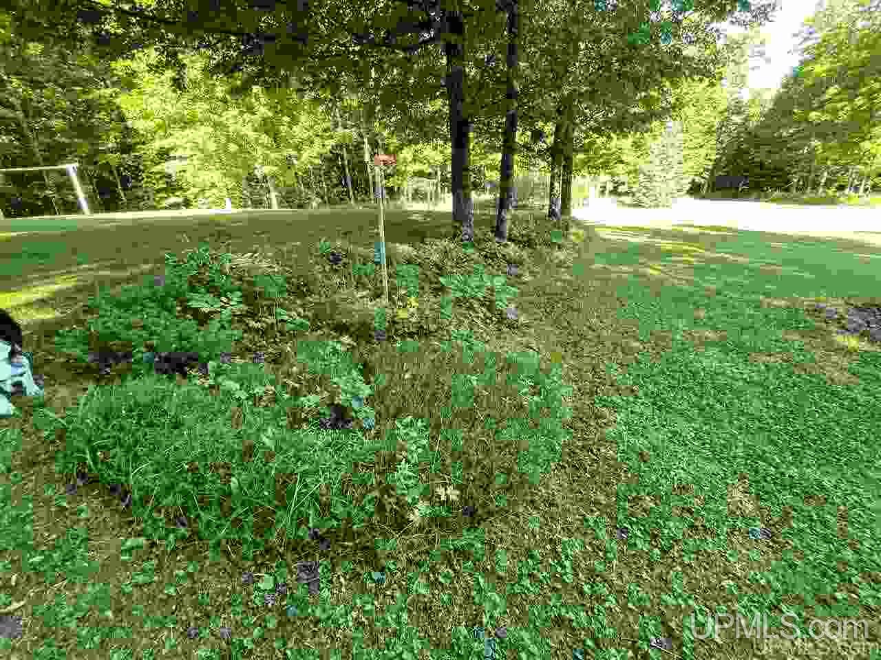4036 26th Road Cornell, MI 49818 - Photo 35 of 49