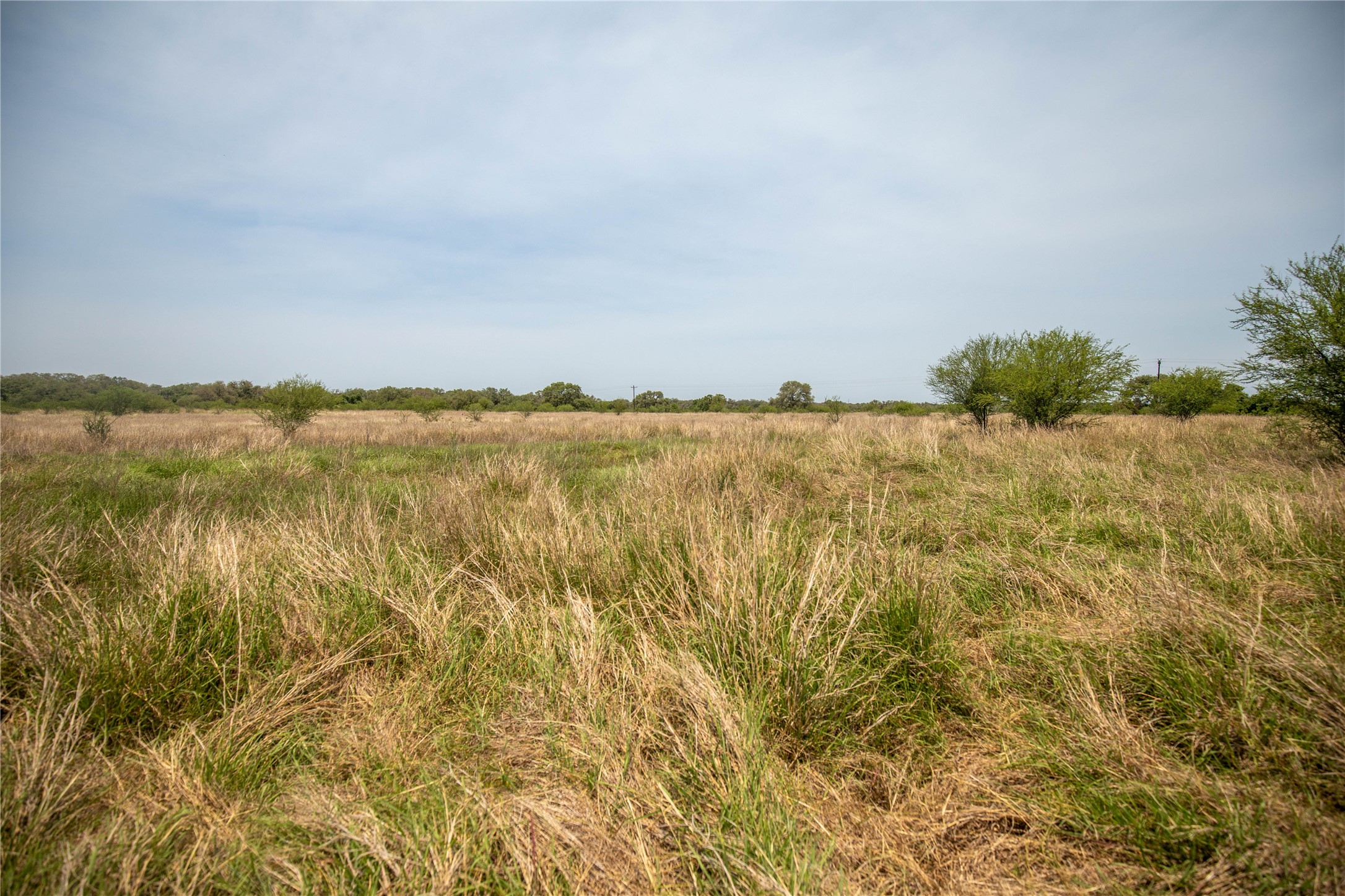 0 Green Dewitt Road Cuero, TX 77954 - Photo 16 of 40