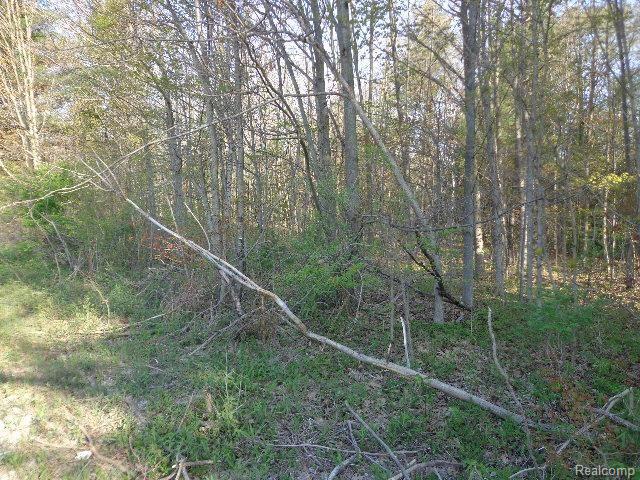 0 Rynn Road North Street, MI 48049 - Photo 5 of 11