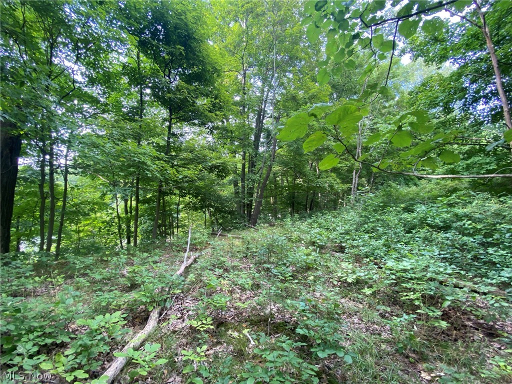 Dallas Pike Road Triadelphia, WV 26059 - Photo 4 of 12