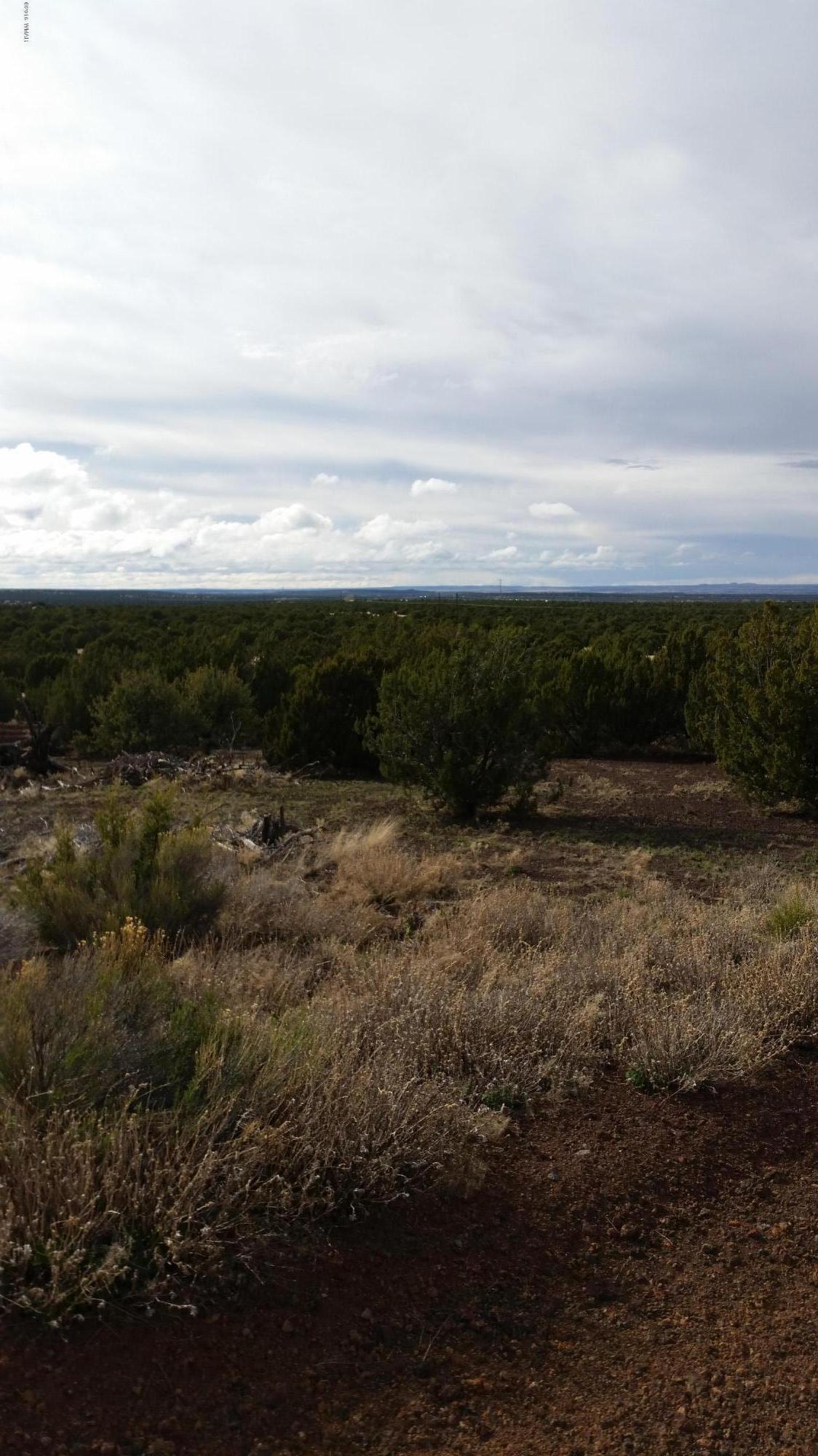 Tbd Sutter Lane Show Low, AZ 85901 - Photo 1 of 3