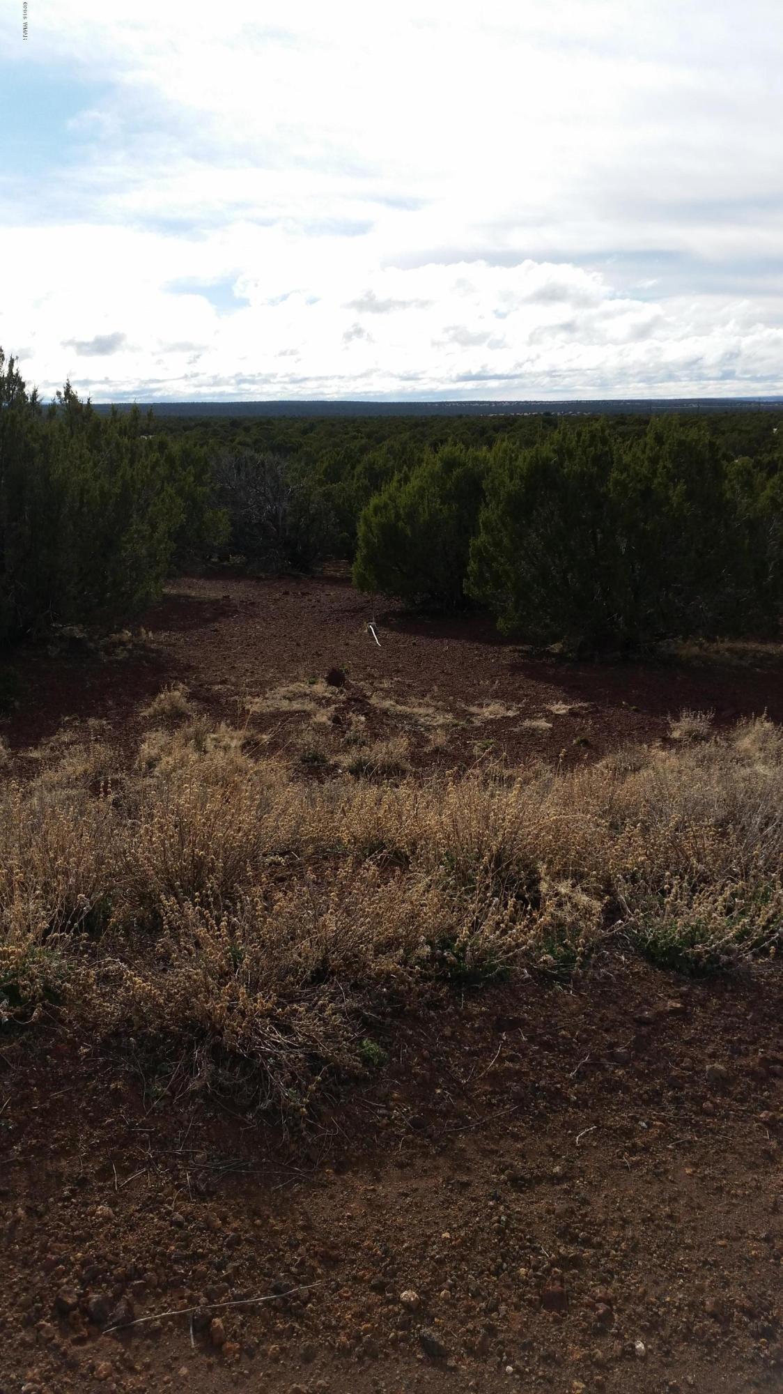 Tbd Sutter Lane Show Low, AZ 85901 - Photo 2 of 3