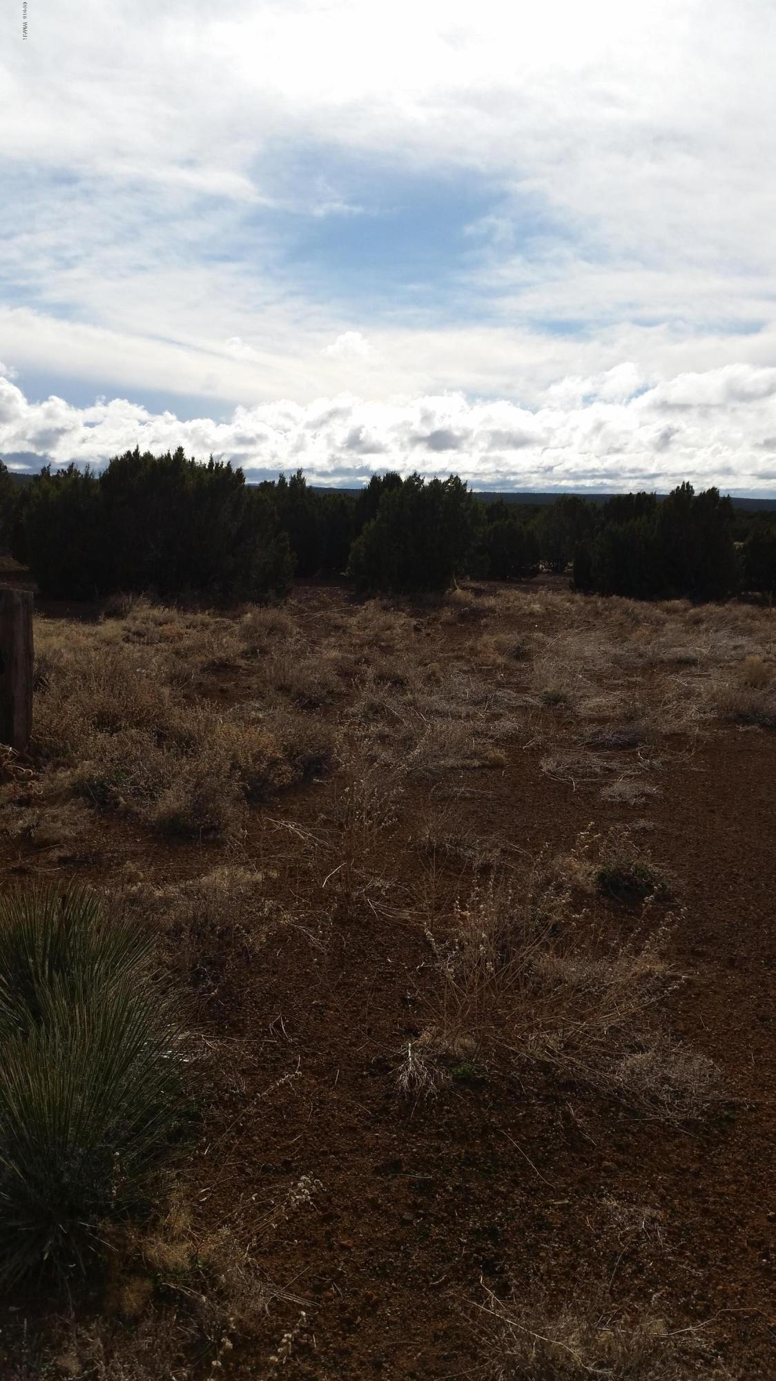 Tbd Sutter Lane Show Low, AZ 85901 - Photo 3 of 3