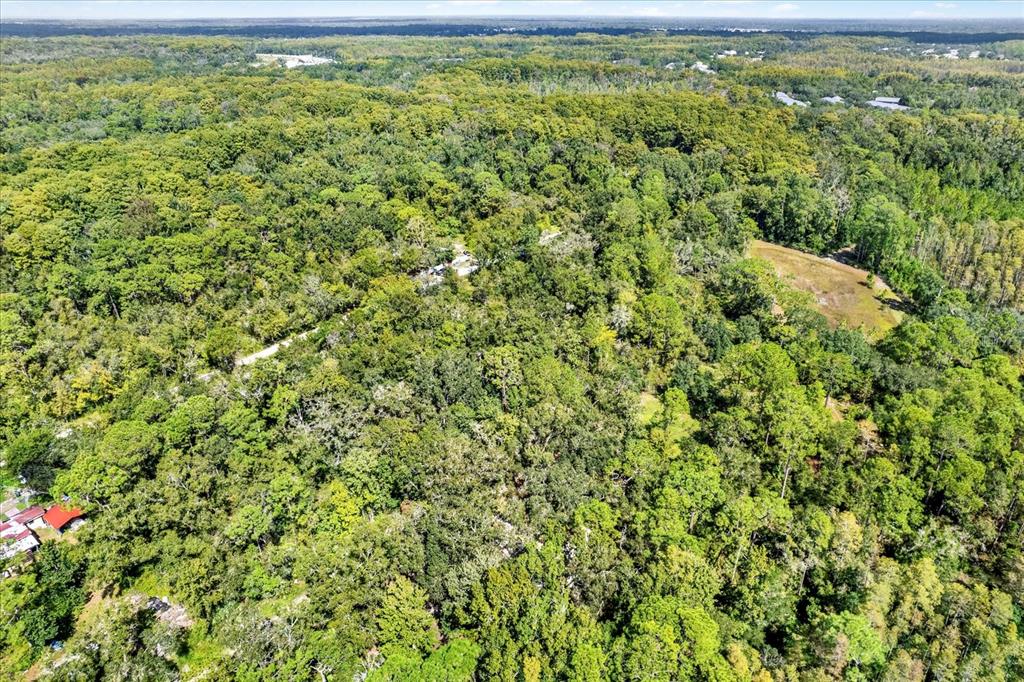 0 Weldon Street New Port Richey, FL 34654 - Photo 1 of 1 a view of a big yard with lots of bushes