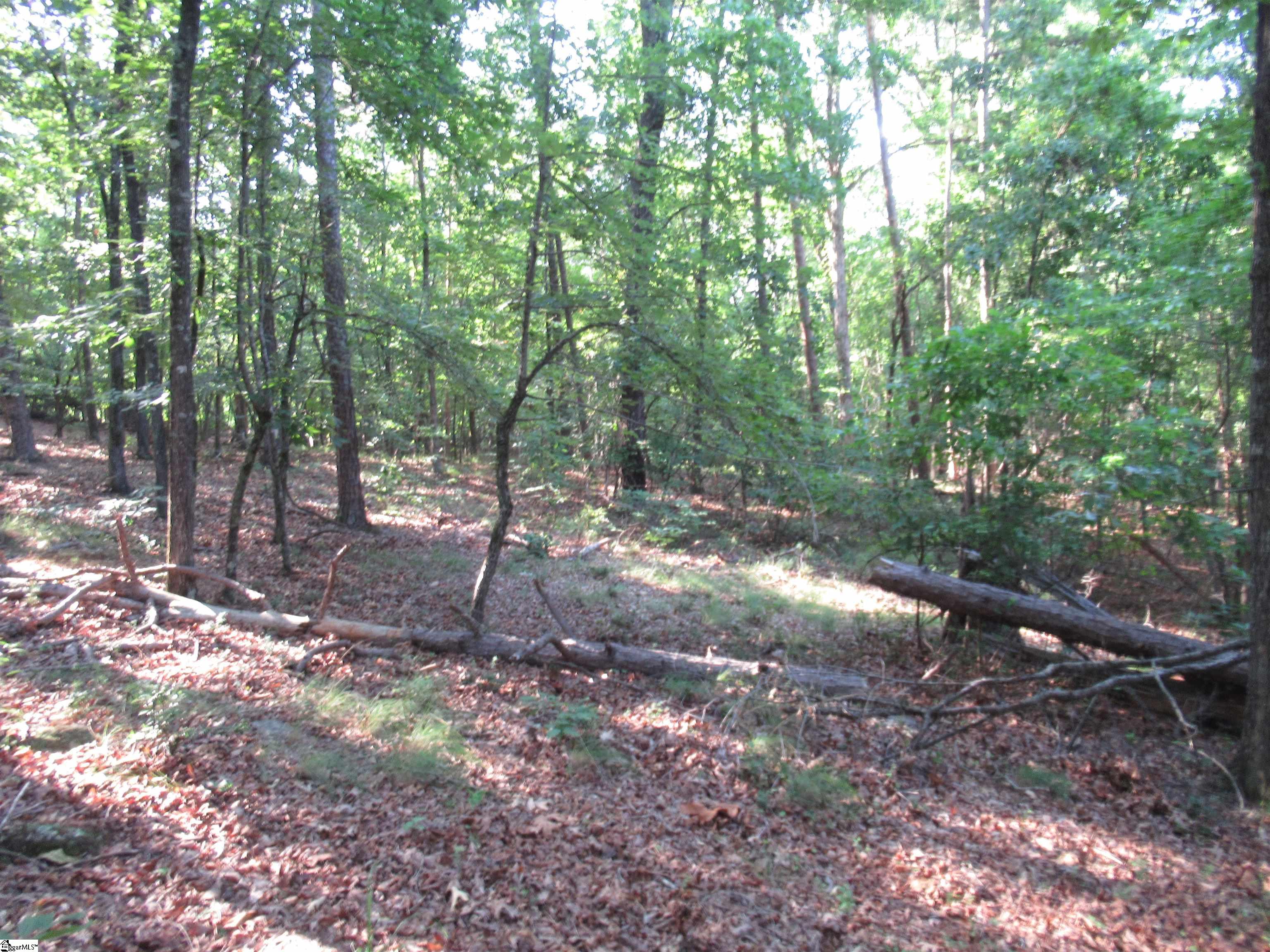 0 Murphy Road, Unit 3 2 ACRES S SIDE MURPHY RD Sunset, SC 29685 - Photo 1 of 20