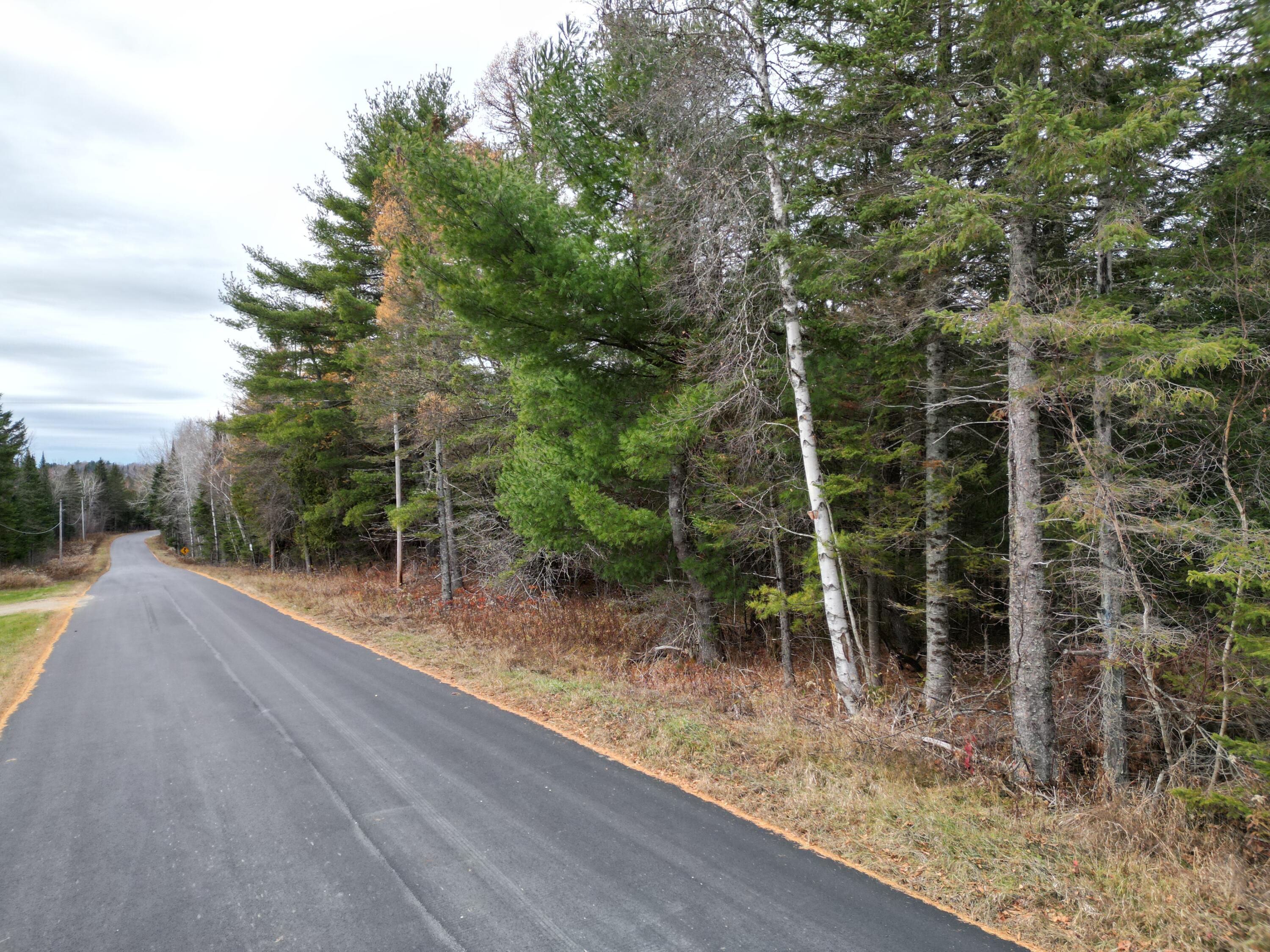 1562 Park Street Springfield, ME 04487 - Photo 6 of 13 DJI_0927