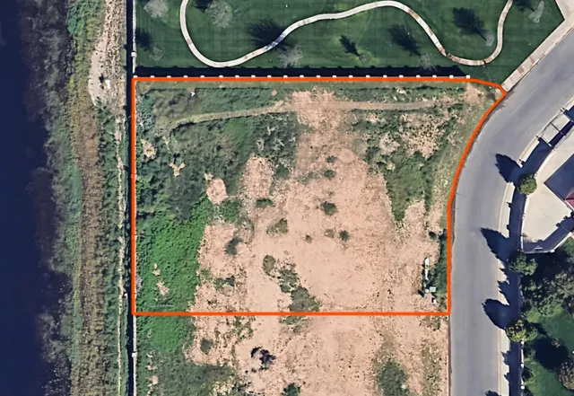 a small garden covered with tall trees