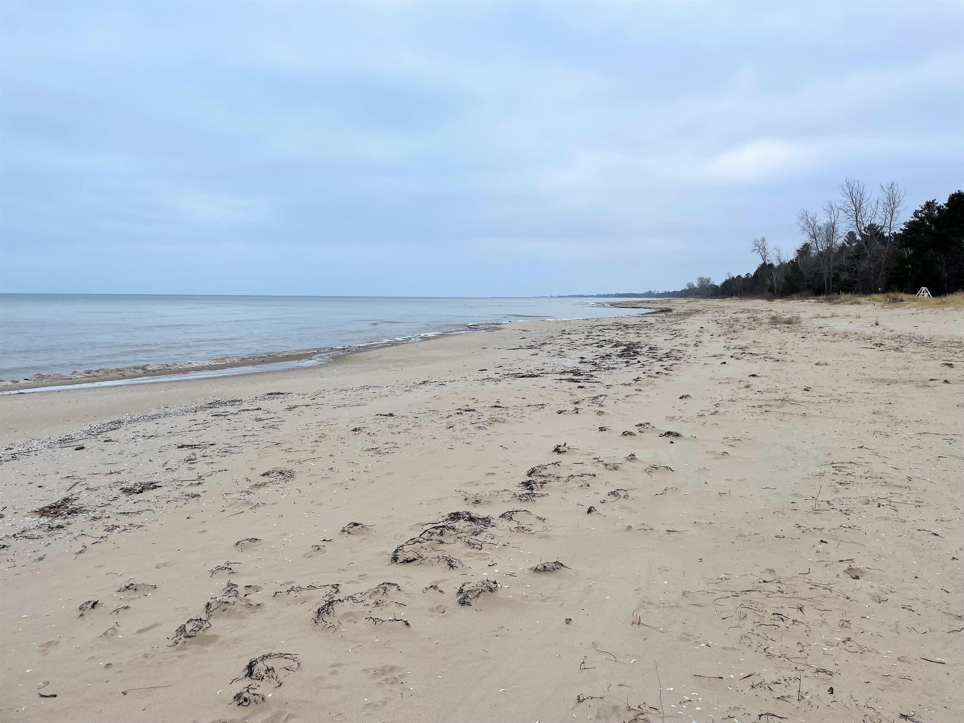 6134 Ridge Road Oscoda, MI 48750 - Photo 4 of 37 1907653-3.JPG