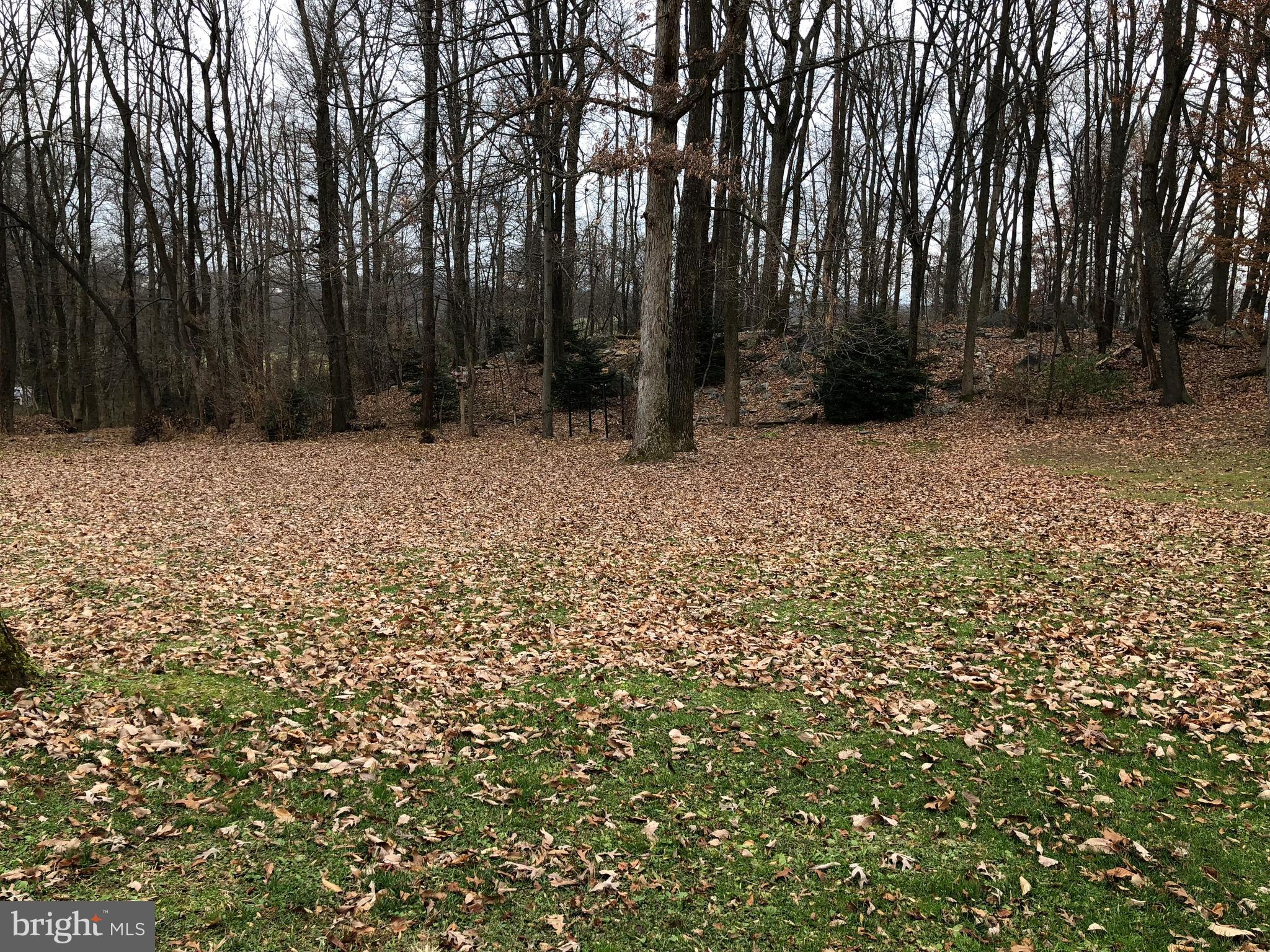 11804 Warner Road Keymar, MD 21757 - Photo 2 of 9 a backyard of a house with lots of green space