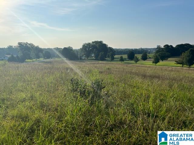 Armory Road, Unit 6 Ashland, AL 36251 - Photo 2 of 5