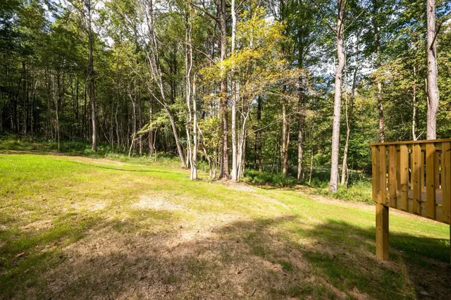 a view of a trees in front of a house