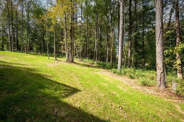 a backyard of a house with lots of green space and fountain