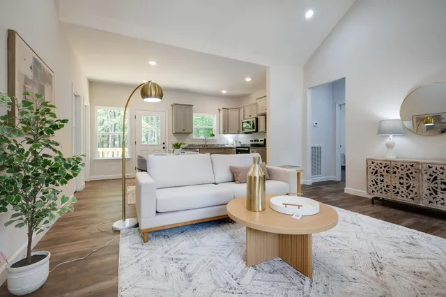 a living room with furniture and a potted plant